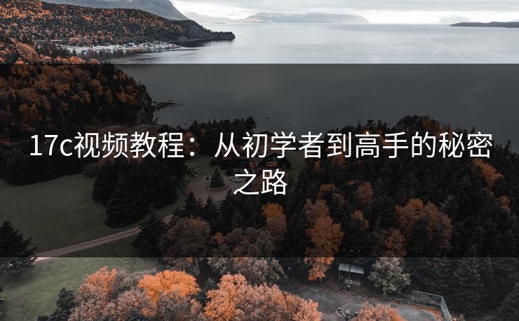17c视频教程：从初学者到高手的秘密之路