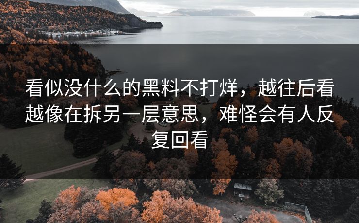 看似没什么的黑料不打烊，越往后看越像在拆另一层意思，难怪会有人反复回看