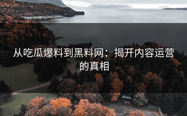 从吃瓜爆料到黑料网：揭开内容运营的真相