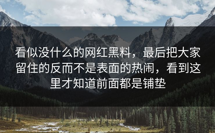 看似没什么的网红黑料，最后把大家留住的反而不是表面的热闹，看到这里才知道前面都是铺垫