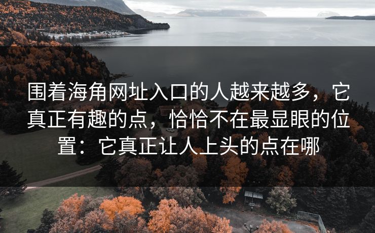围着海角网址入口的人越来越多，它真正有趣的点，恰恰不在最显眼的位置：它真正让人上头的点在哪  第1张