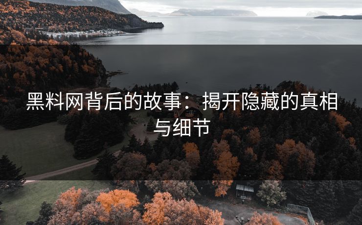 黑料网背后的故事：揭开隐藏的真相与细节