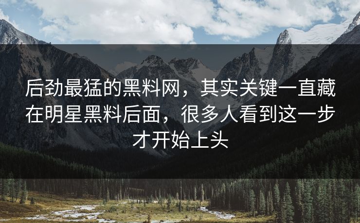后劲最猛的黑料网，其实关键一直藏在明星黑料后面，很多人看到这一步才开始上头