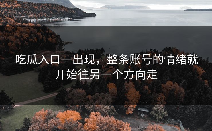 吃瓜入口一出现，整条账号的情绪就开始往另一个方向走  第1张