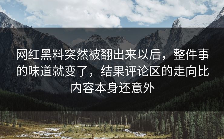 网红黑料突然被翻出来以后,整件事的味道就变了,结果评论区的走向比内容本身还意外 第1张 网红黑料突然被翻出来以后,整件事的味道就变了,结果评论区的走向比内容本身还意外 第1张