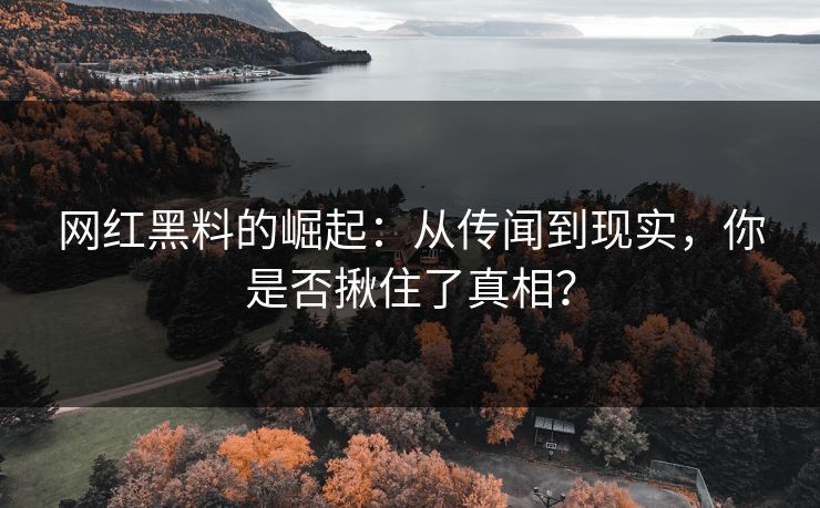 网红黑料的崛起：从传闻到现实，你是否揪住了真相？